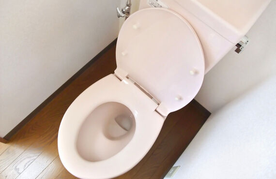 自分で直せるトイレの詰まり